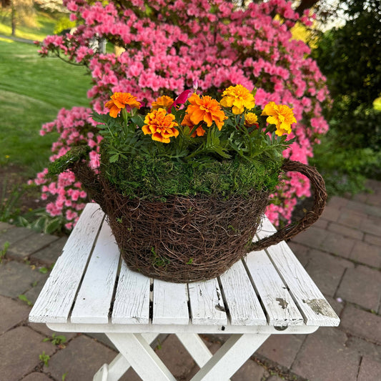 Watering Can Moss Planter - Happy Gardens