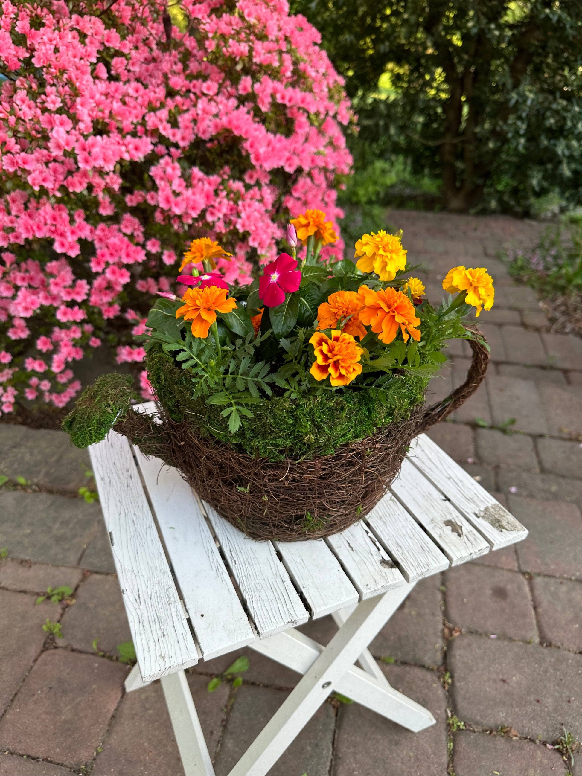 Watering Can Moss Planter - Happy Gardens