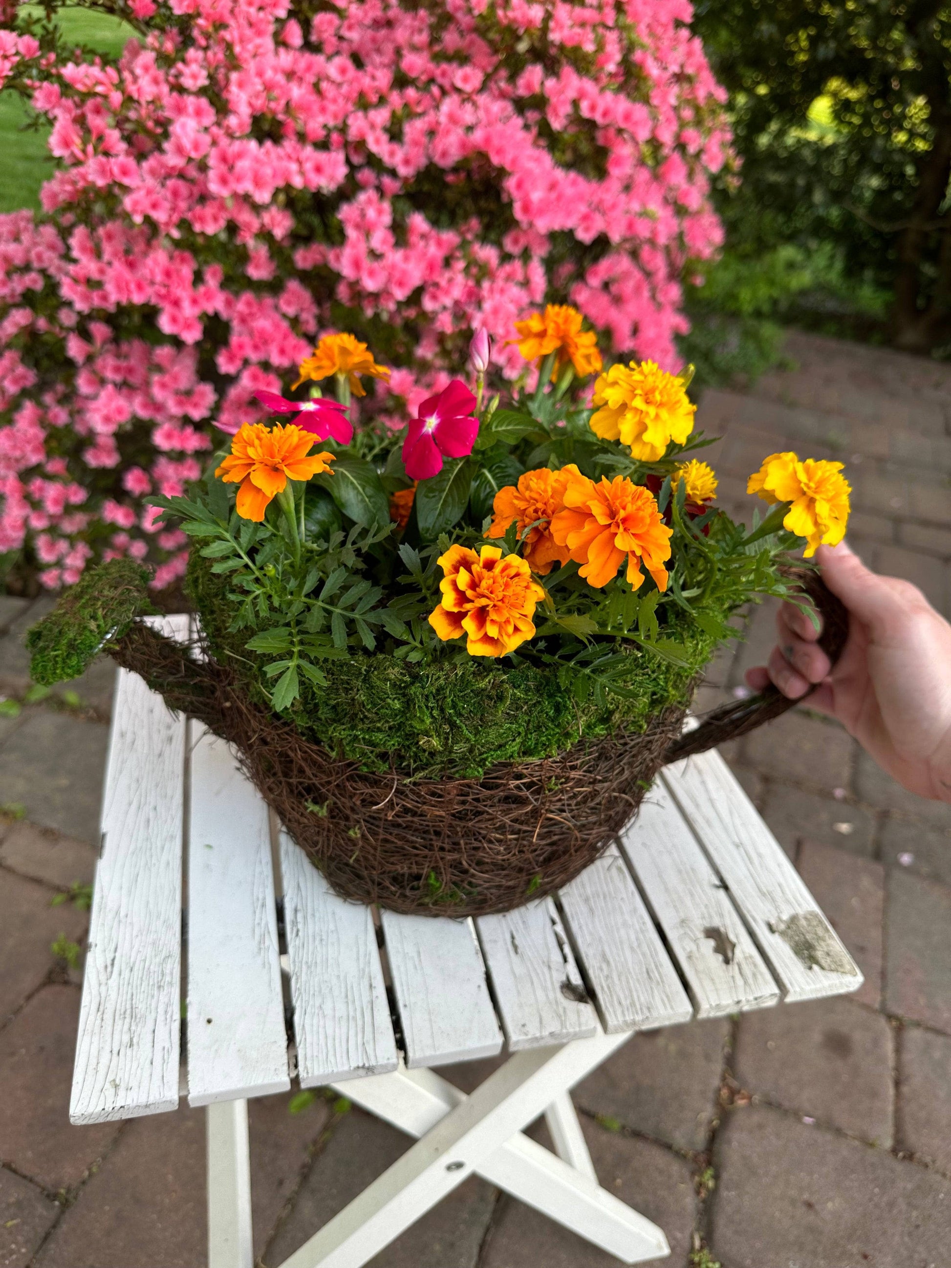 Watering Can Moss Planter - Happy Gardens