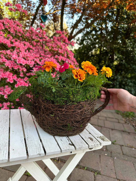 Watering Can Moss Planter - Happy Gardens