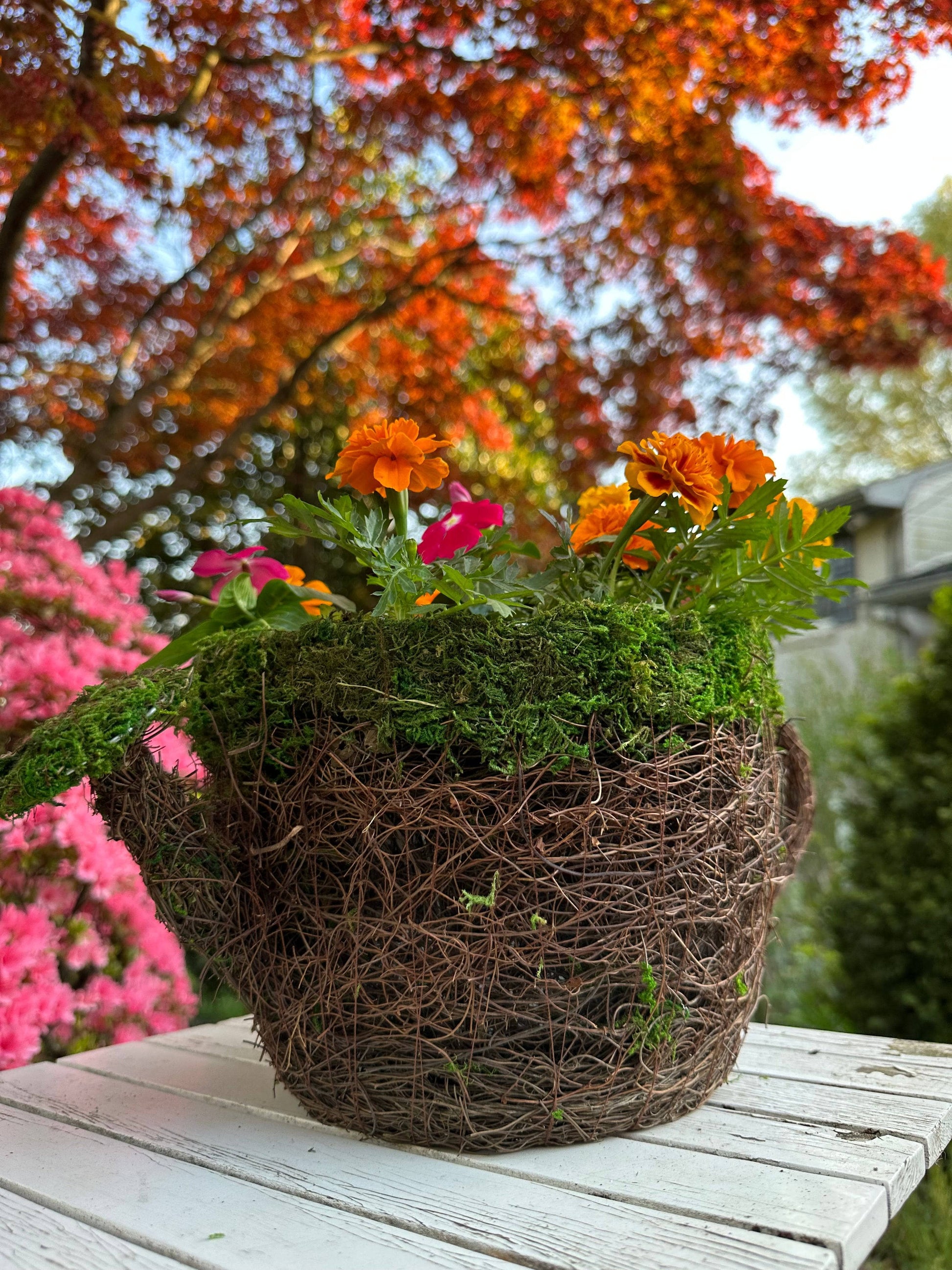 Watering Can Moss Planter - Happy Gardens