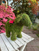 Puppy Moss Planter - Happy Gardens
