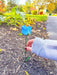 Happy Gardens - Blue Rose Plant Pick