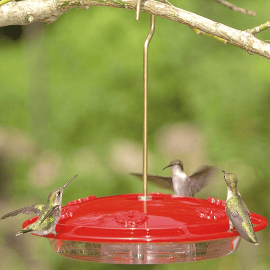 HummZinger Excel Hummingbird Feeder, 16 oz. - Happy Gardens