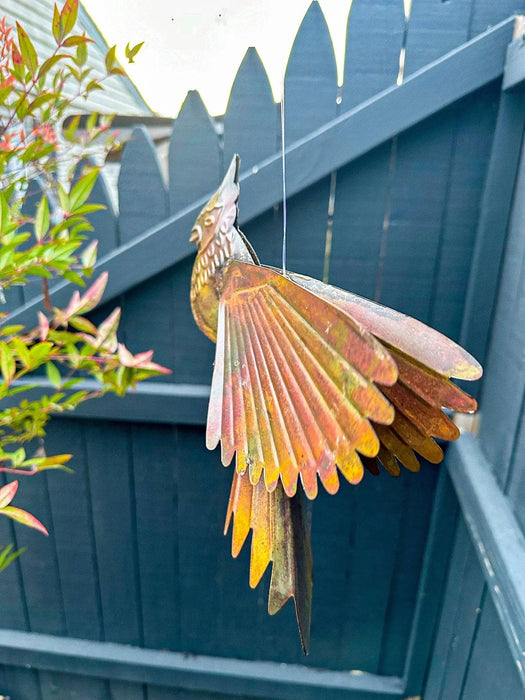 Hanging Flamed Cardinal - Happy Gardens