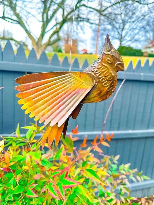 Hanging Flamed Cardinal - Happy Gardens