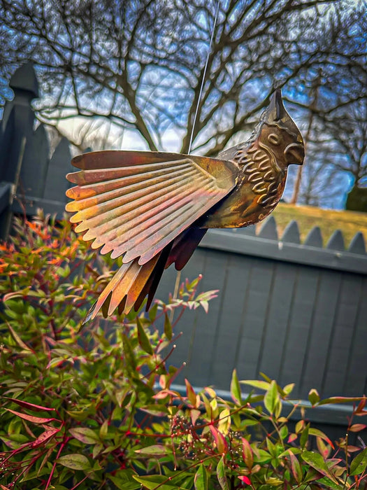 Hanging Flamed Cardinal - Happy Gardens