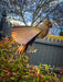 Hanging Flamed Cardinal - Happy Gardens