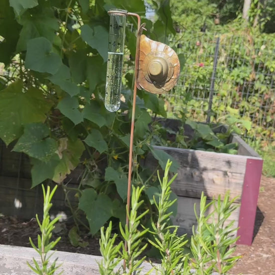 Happy Gardens - Snail Rain Gauge