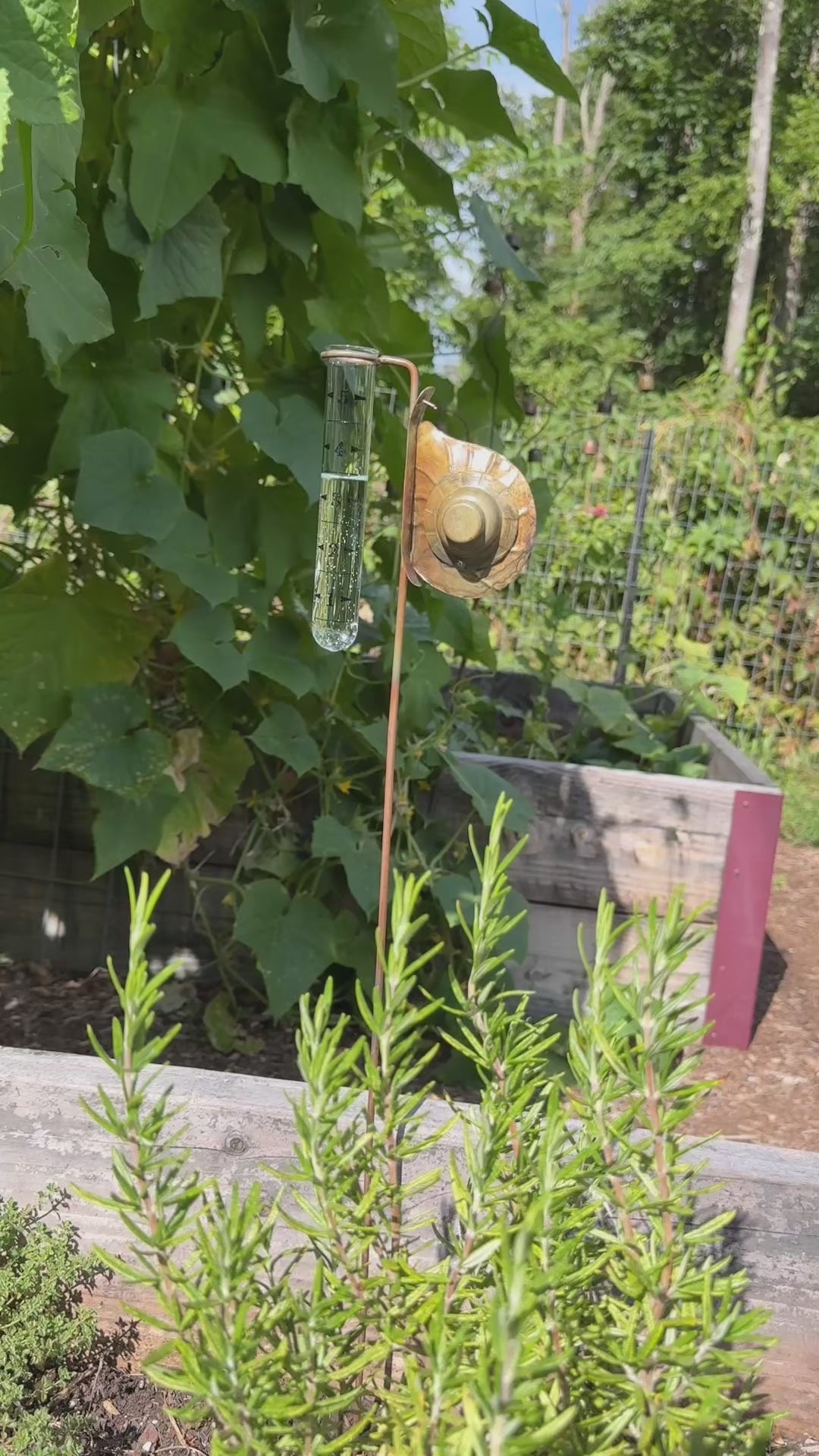 Happy Gardens - Snail Rain Gauge