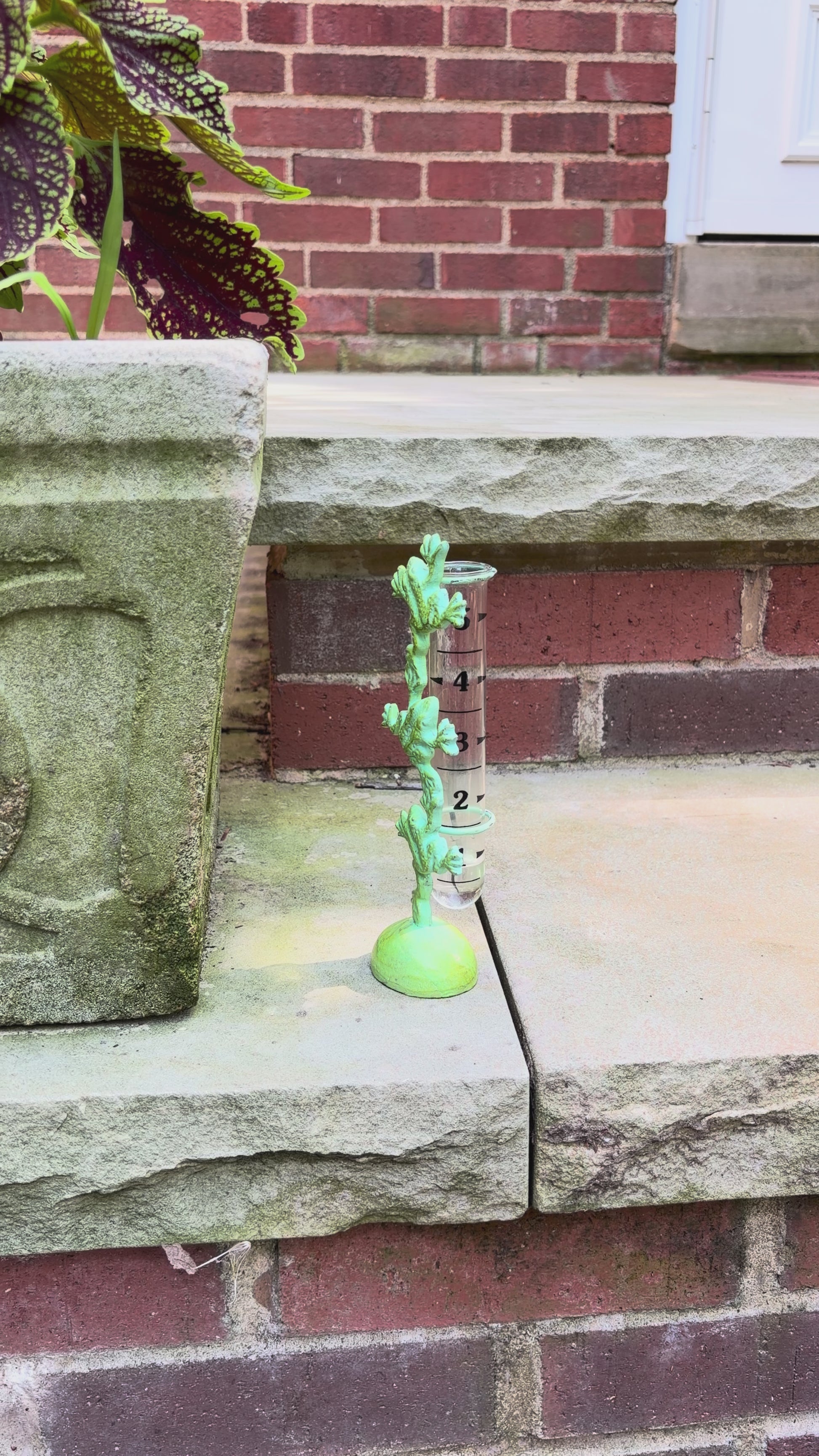 Happy Gardens - Frog Rain Gauge – Cast Brass