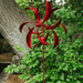 Red Feather Wind Spinner, 15"-Happy Gardens