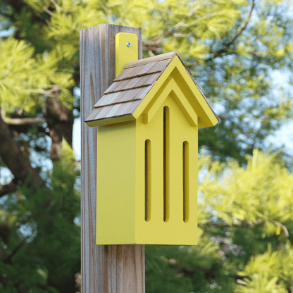 Classic Butterfly House, Yellow - Happy Gardens