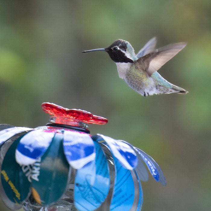 Sugar Shack Hummingbird Feeder w/ Hook - Happy Gardens