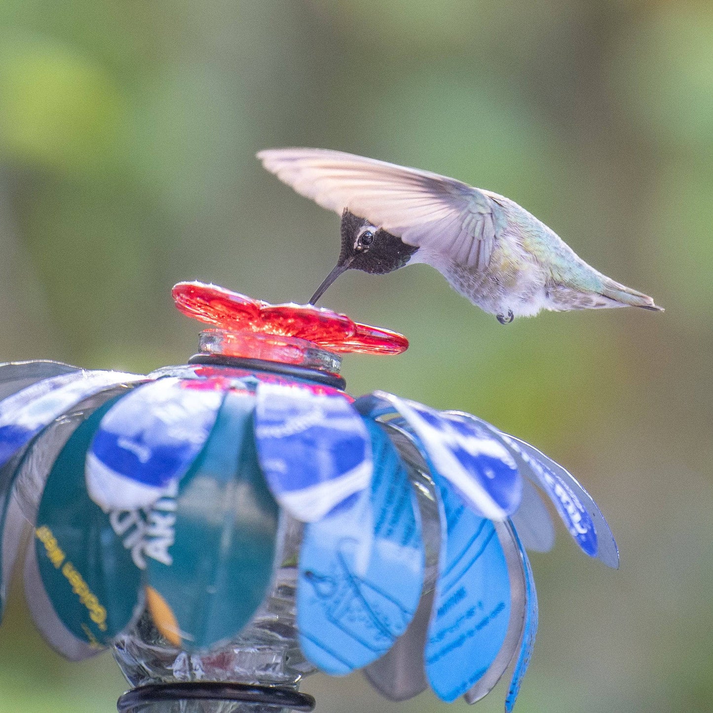 Sugar Shack Hummingbird Feeder w/ Hook - Happy Gardens