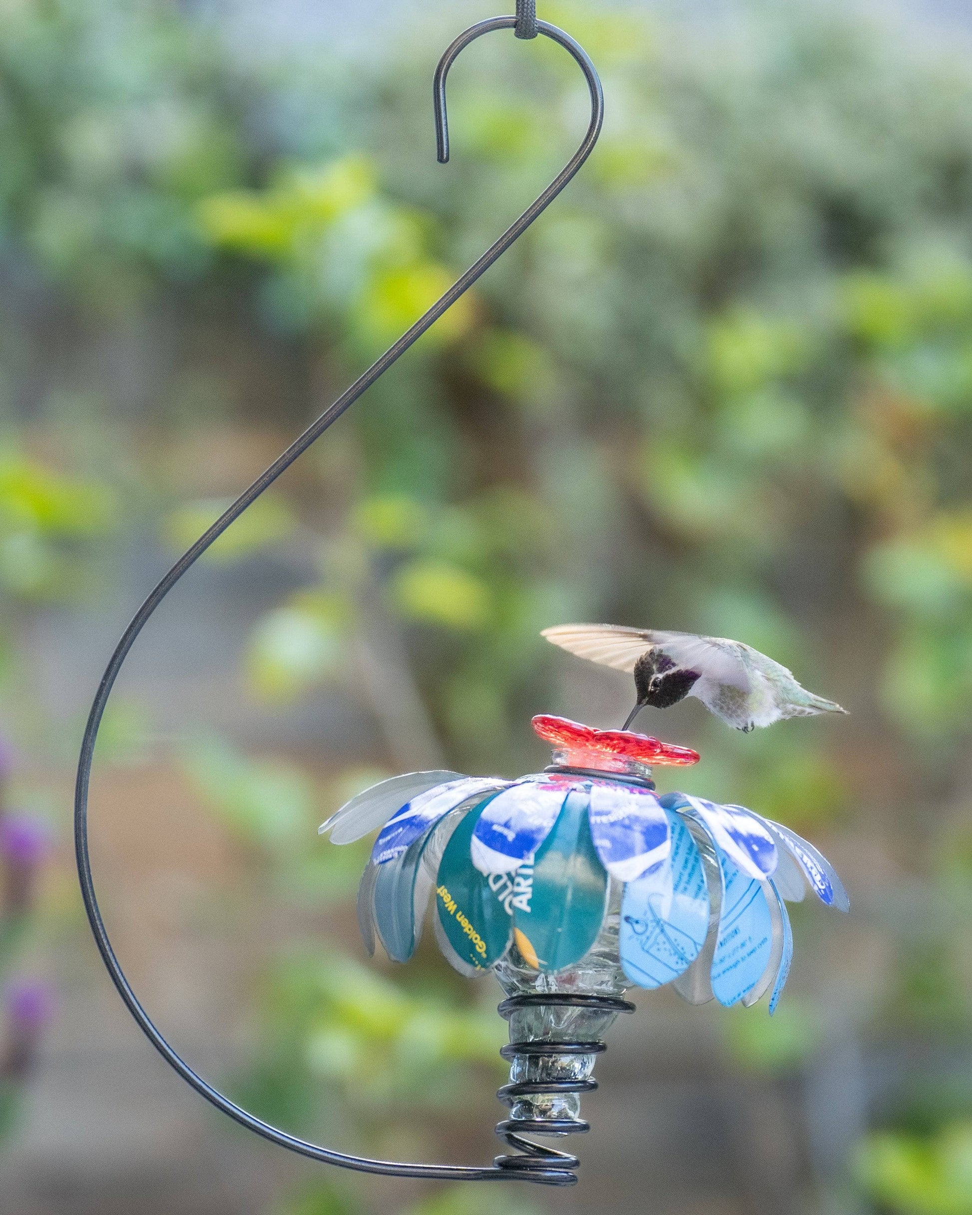 Sugar Shack Hummingbird Feeder w/ Hook - Happy Gardens