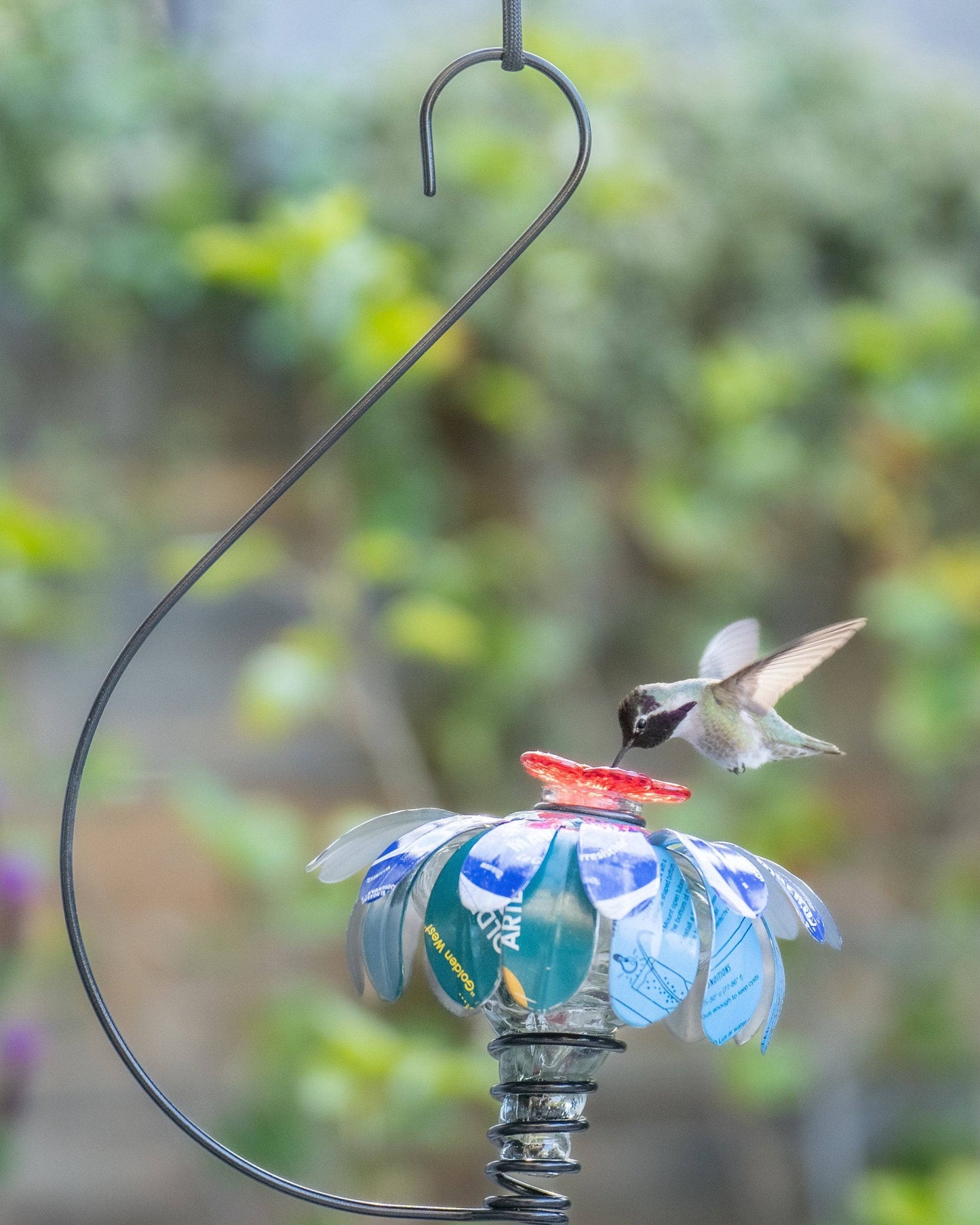 Sugar Shack Hummingbird Feeder w/ Hook - Happy Gardens
