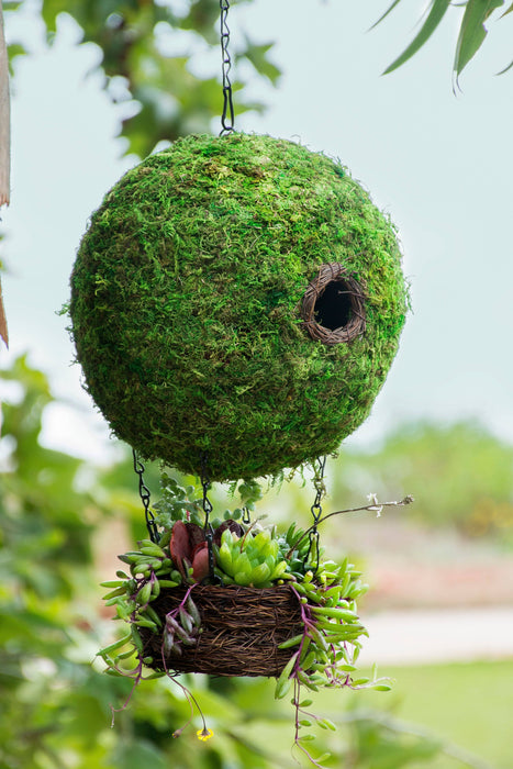 Air Balloon Moss Birdhouse - Happy Gardens
