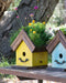 Amber Plantable Birdhouses - Happy Gardens