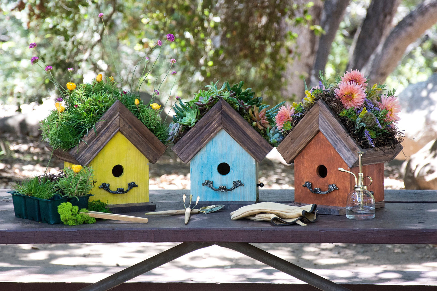 Amber Plantable Birdhouses - Happy Gardens