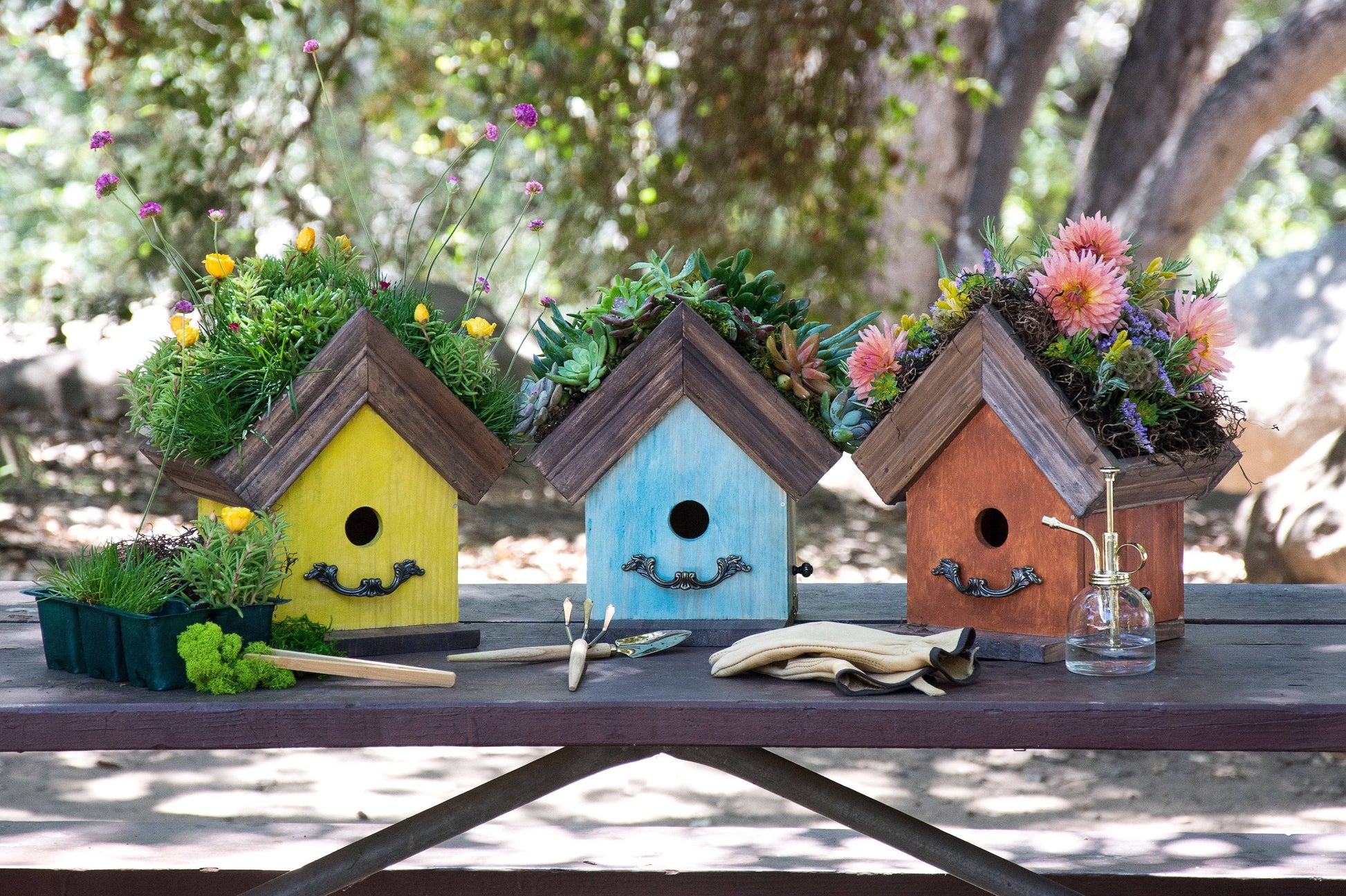 Amber Plantable Birdhouses - Happy Gardens