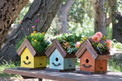 Amber Plantable Birdhouses - Happy Gardens