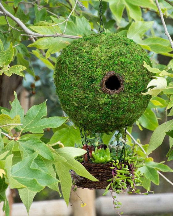 Air Balloon Moss Birdhouse - Happy Gardens