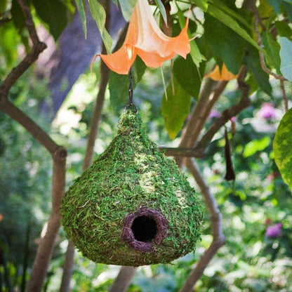  Raindrop Moss Woven Birdhouse - Happy Gardens