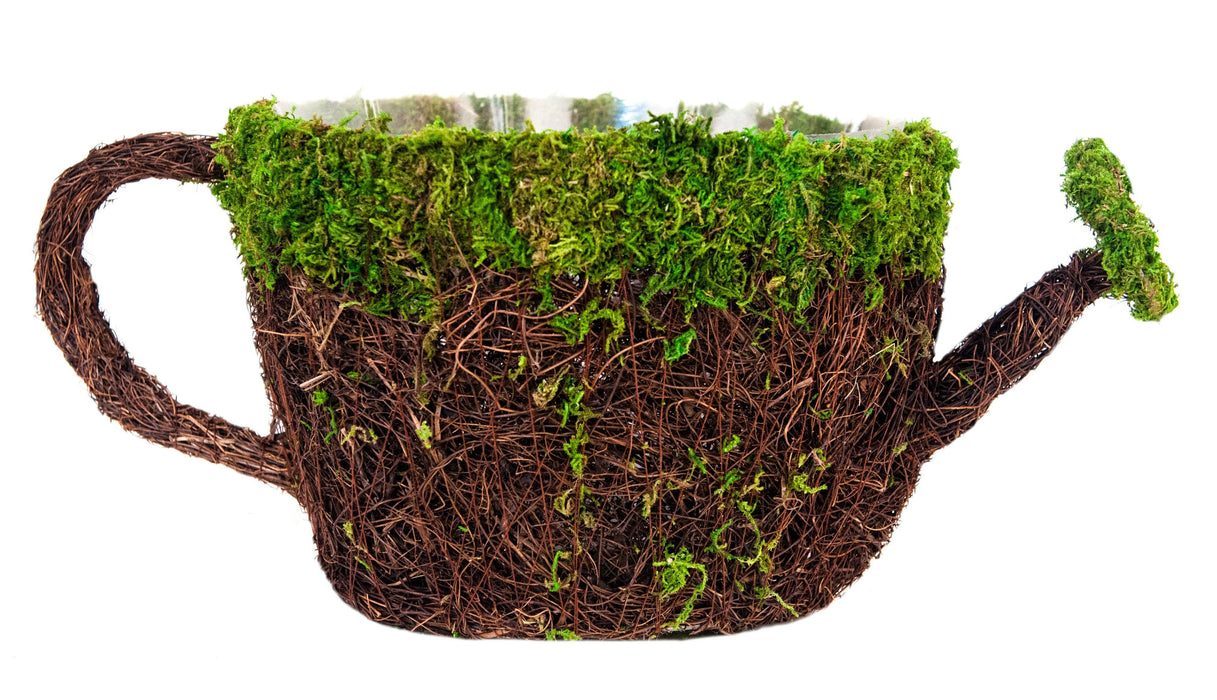 Watering Can Moss Planter - Happy Gardens