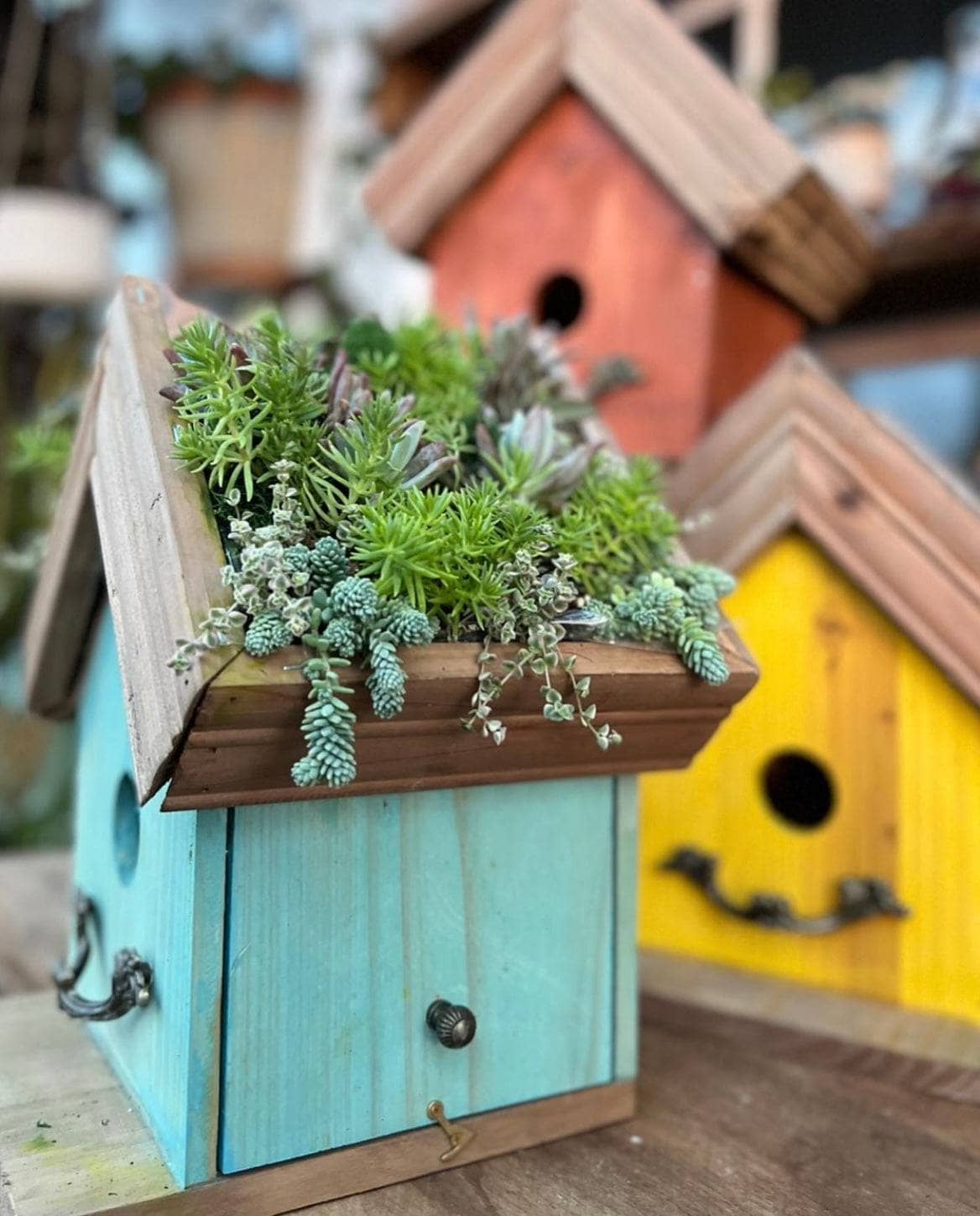 Amber Plantable Birdhouses - Happy Gardens