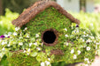 Plantable Maison Patio Moss Birdhouse - Happy Gardens