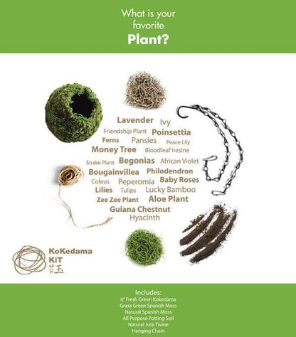 Original Kokedama Moss Kit - Happy Gardens