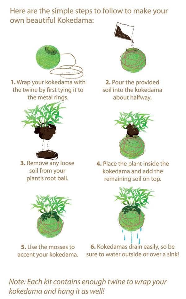 Original Kokedama Moss Kit - Happy Gardens