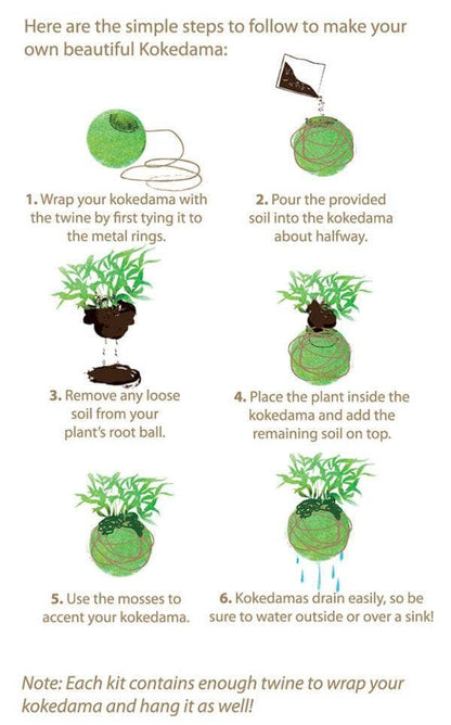 Original Kokedama Moss Kit - Happy Gardens