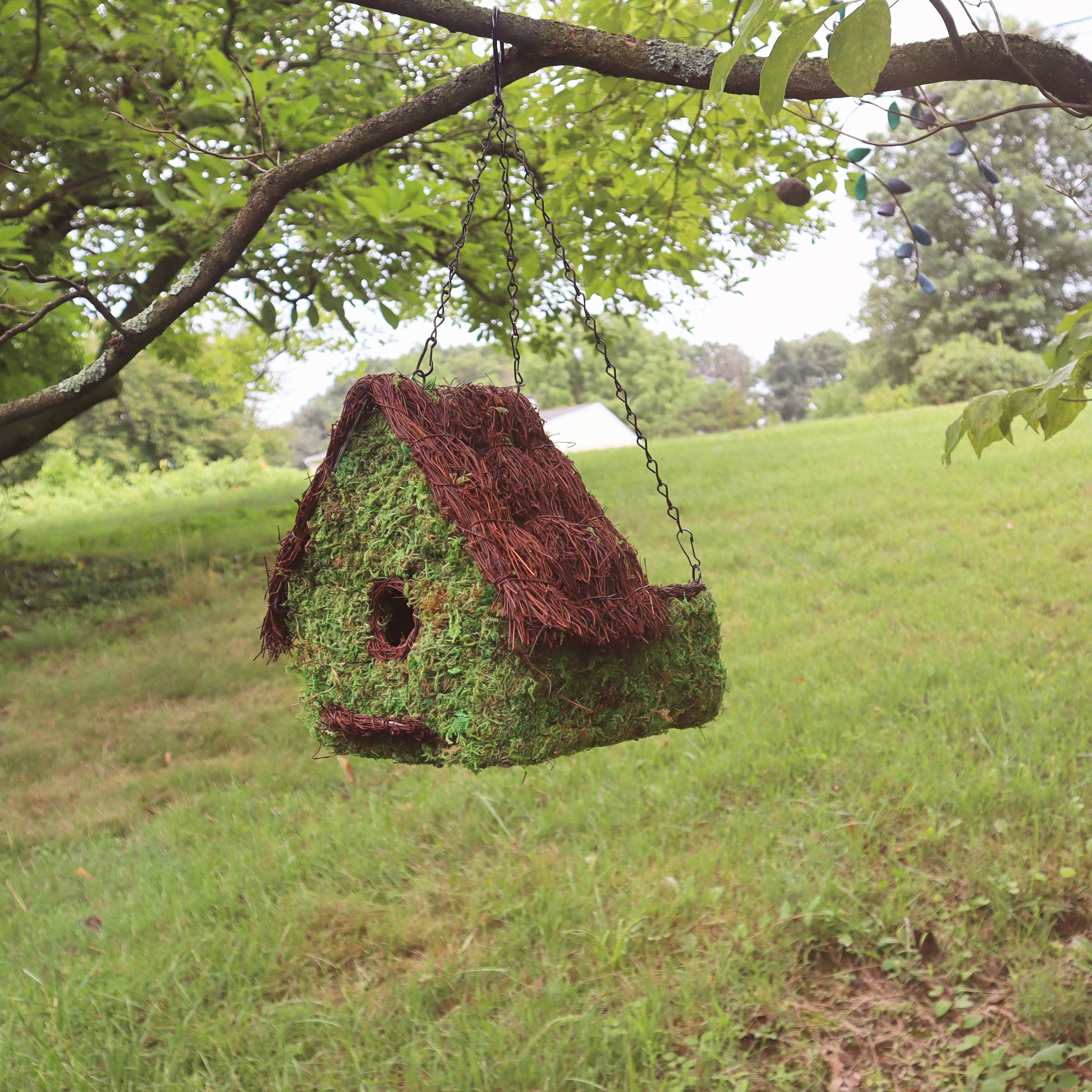 Woven Maison Plantable Moss Birdhouse - Happy Gardens