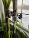 Floral Butterfly Multicolor Rain Gauge-Garden Stakes & Rain Gauges-Happy Gardens