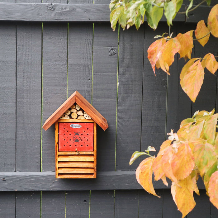 Ladybug House - Happy Gardens