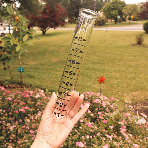 Garden Rain Gauge & Thermometer