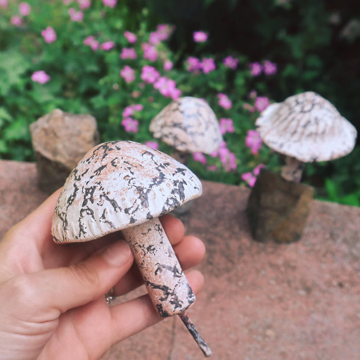 Happy Gardens - Little Fungi on Stone Garden Statue