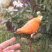 Happy Gardens - Spice Bird Plant Pick