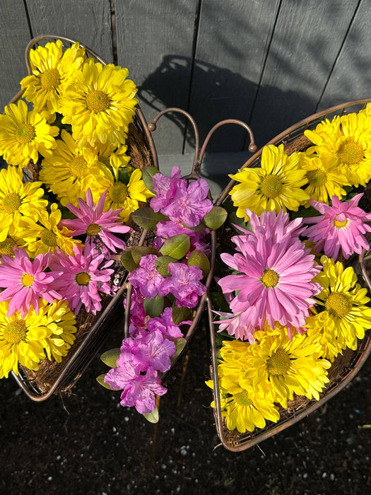 Butterfly Planter - Happy Gardens