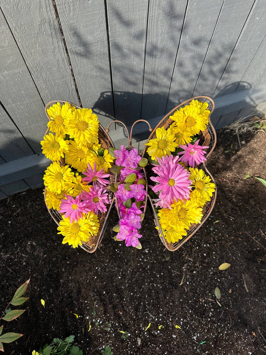 Butterfly Planter - Happy Gardens