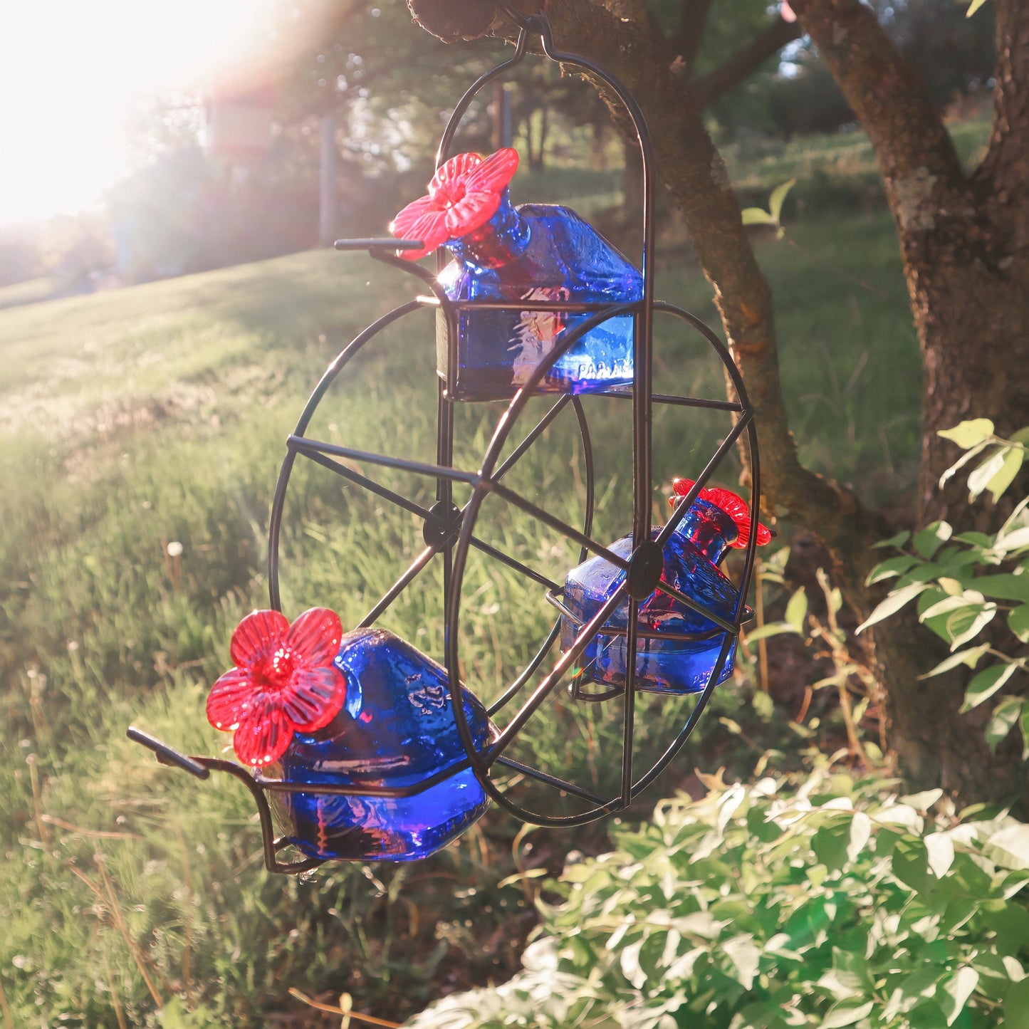 Ferris Wheel Hummingbird Feeder - Happy Gardens