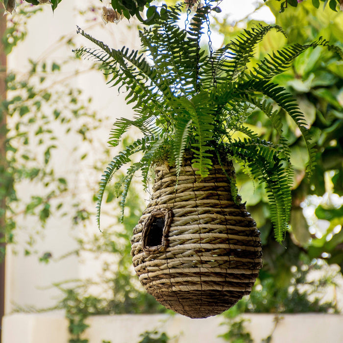 Pineapple Plantable Birdhouse - Happy Gardens