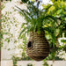 Pineapple Plantable Birdhouse - Happy Gardens