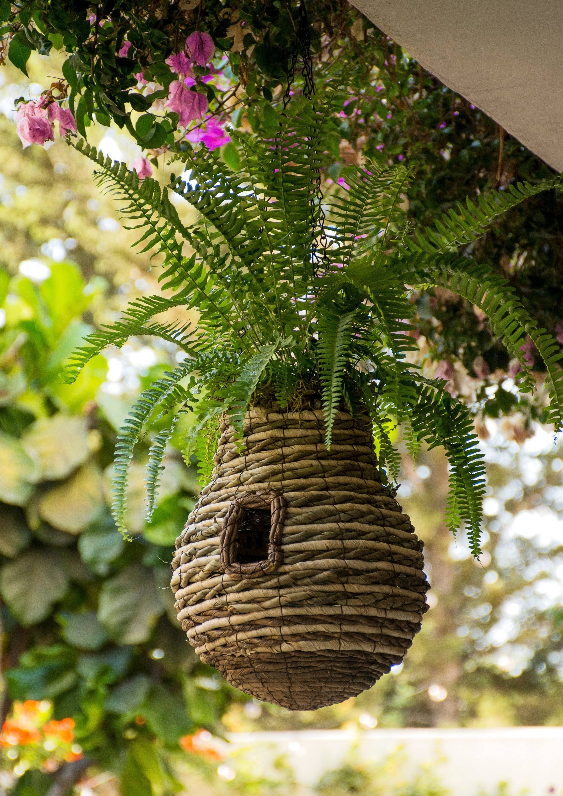 Pineapple Plantable Birdhouse - Happy Gardens
