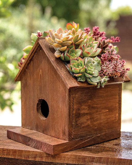 Small Plantable Birdhouse Jade - Happy Gardens
