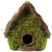 Woven Maison Plantable Moss Birdhouse - Happy Gardens