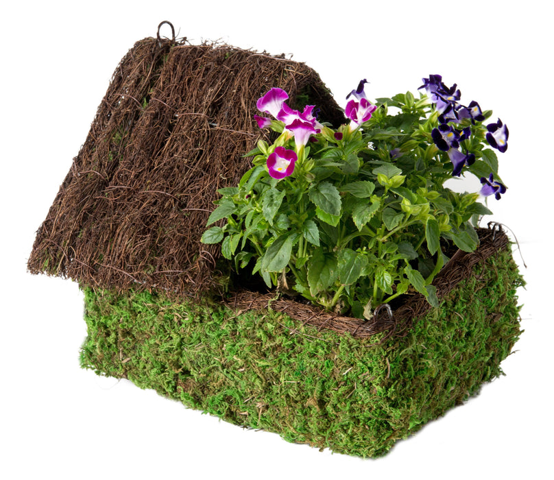 Woven Maison Plantable Moss Birdhouse - Happy Gardens