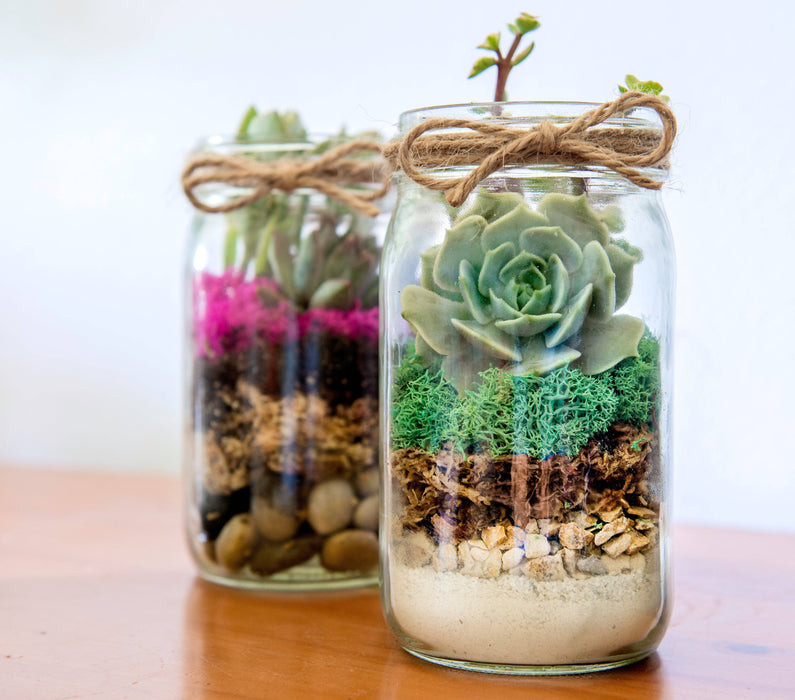 Terrarium Kit DIY Jar - Happy Gardens